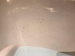 -无锡君来洲际酒店