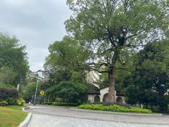 -五矿哈施塔特文旅小镇