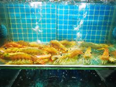 -叶姐海鲜(棋子湾店)