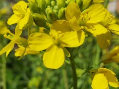 -博望坡酒楼(漕溪路店)