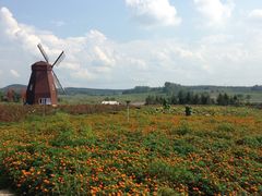 -北纬44度·金珠花海休闲农业旅游景区