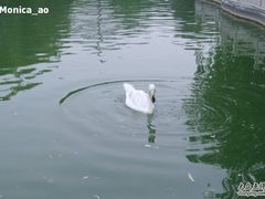 -太原动物园