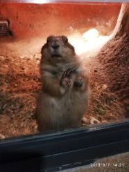 -酷嗒动物文化乐园(cutezoo西溪乐天城店)