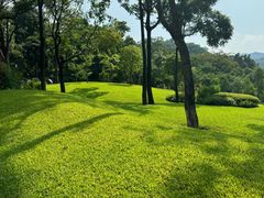 -云溪植物园
