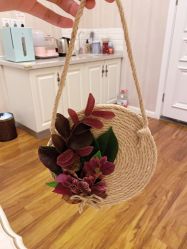 -弗蕾亚·和月月子调理院(东湖店)