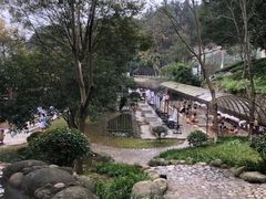 -三江森林温泉度假区