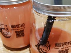 -藏猫猫咖啡主题馆(中央大道店)