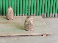 -杭州野生动物世界