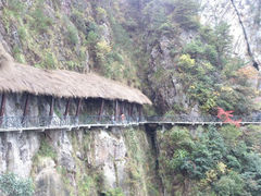 android_upload_pic-大明山自然探索公园