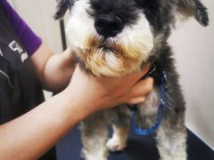 -艾贝尔宠物医院(华府骏苑店)