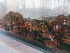 -君悦酒店·乐厨·高空自助餐(青年大街店)