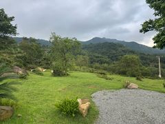-大姆山草场