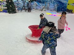 -世界之窗阿尔卑斯冰雪世界
