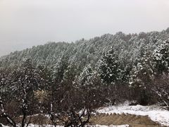 -北京西山国家森林公园