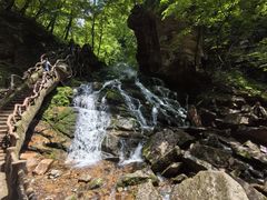 -五女峰国家森林公园