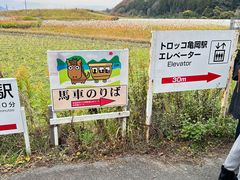 -岚山嵯峨野观光小火车