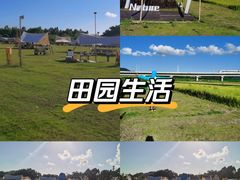-光明小镇欢乐田园