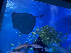 -太平洋海底世界