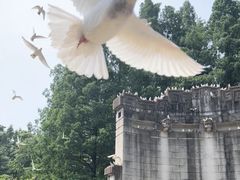 -音乐台