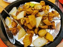 -九十九顶毡房(阜石路店)