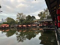 -侨美·唐荔园·40年地道粤菜