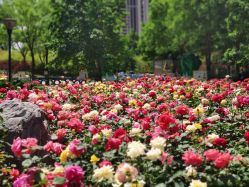 -大望京儿童游乐场