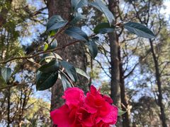 -昆明市金殿名胜区