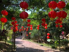 -水濂山森林公园