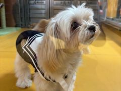 -MARSMART PETS火星宠物超市(1733店)