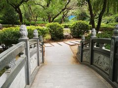 -仁寿山