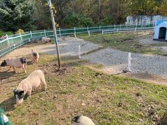 -哈尔滨北方森林动物园