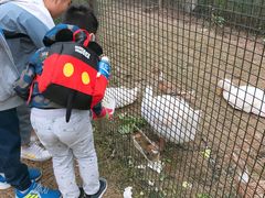 -前小桔亲子创意农场·草莓采摘·露营烧烤