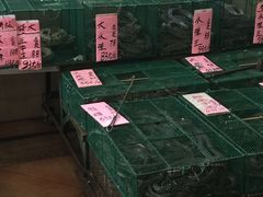 水产区-荔城生鲜盛宴(番禺旗舰店)