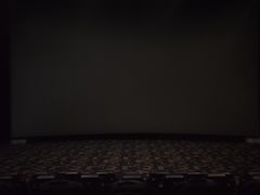 -SFC上影影城(北京大兴龙湖天街IMAX店)