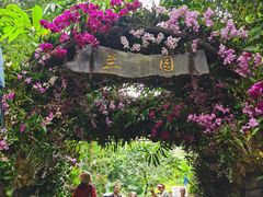 -野象谷景区