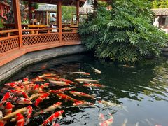 -香麒园·过桥米线·南湖雅宴