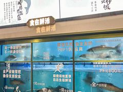 -得意咚瓜·顺德鱼生·冬瓜火锅(深圳首店)