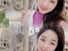 -喵园·猫主题咖啡厅·撸猫·猫咖(国贸店)