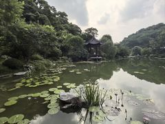 -云溪植物园