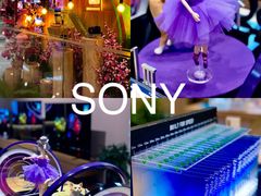 -Sony Store 索尼(来福士店)