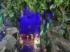 -萌宠奇缘(荣鼎店)