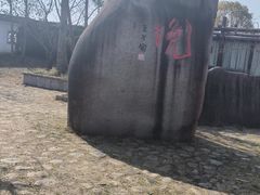 -杭州湾海上花田景区