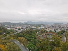 -福道