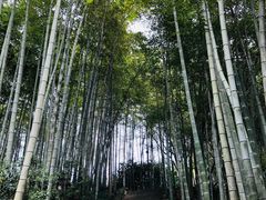 -杭州黄龙洞