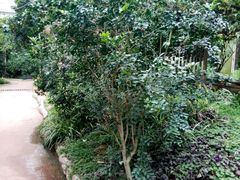 -祥源·阜阳生态乐园