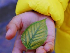 -上海佘山国家森林公园天马山园