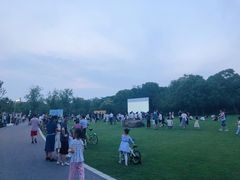 -昆山城市生态森林公园