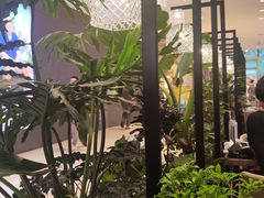 -THE WOODS 简餐 (国贸商城店)