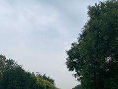 -西青郊野公园