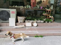 -馆陶手作坊DIY·陶艺·石塑粘土·石膏娃娃(车陂店)